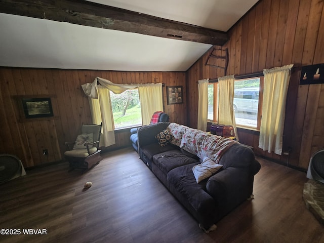 living room featuring plenty of natural light, wooden walls, and wood finished floors