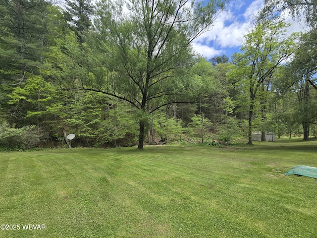 view of grassy yard with a forest view