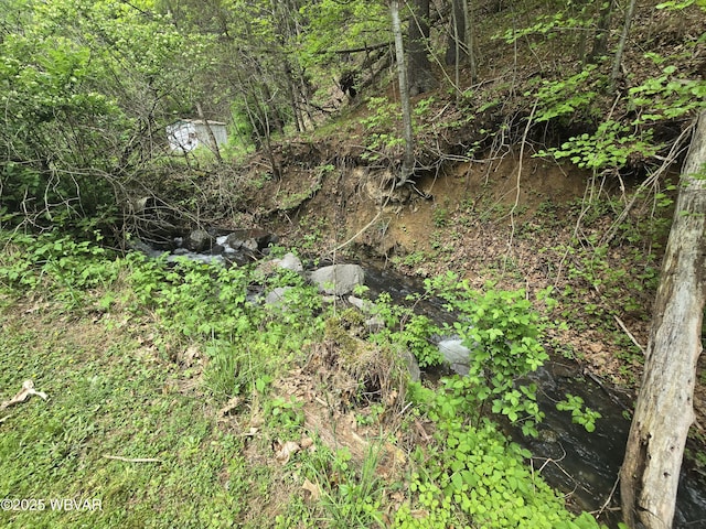 view of nature