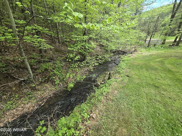 view of local wilderness