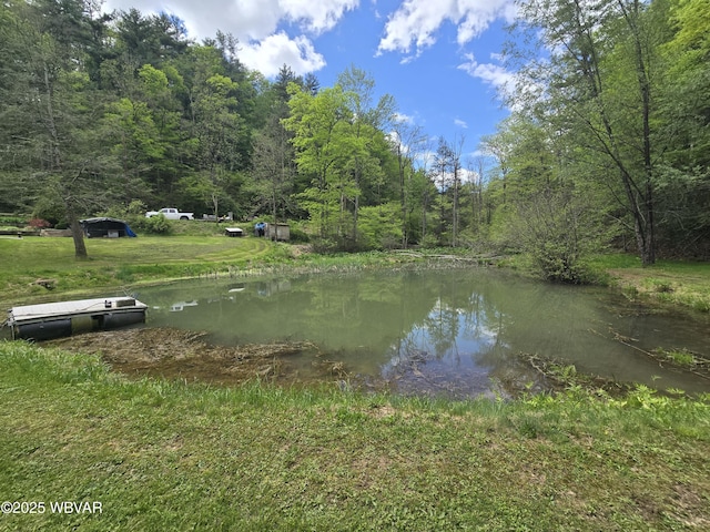 water view with a heavily wooded area