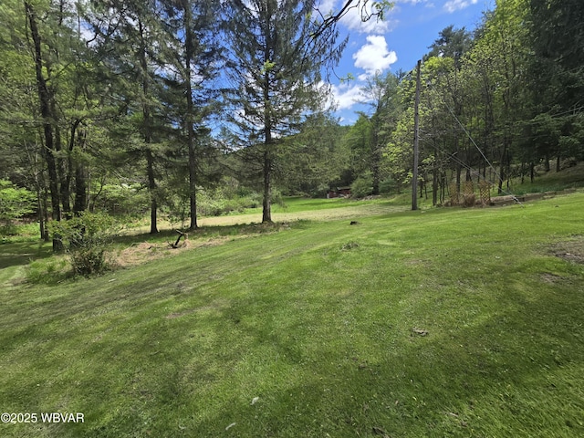 view of green lawn featuring a view of trees