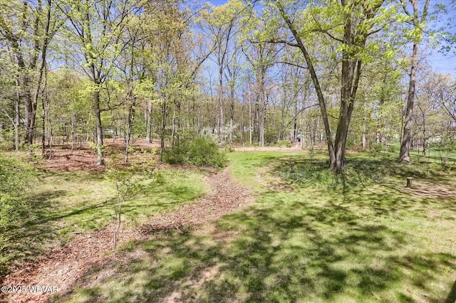 view of yard with a view of trees