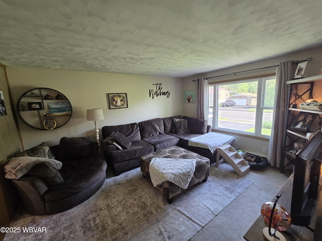 living room featuring carpet floors and a textured ceiling