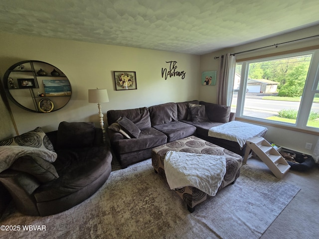 living area with carpet and a textured ceiling