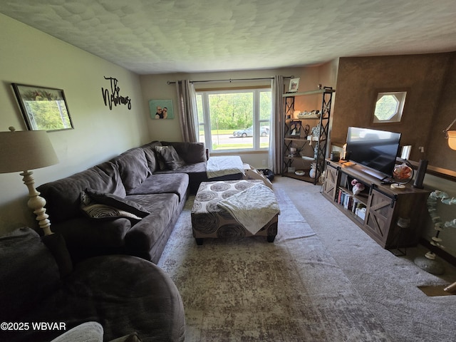 living room featuring a textured ceiling and carpet flooring