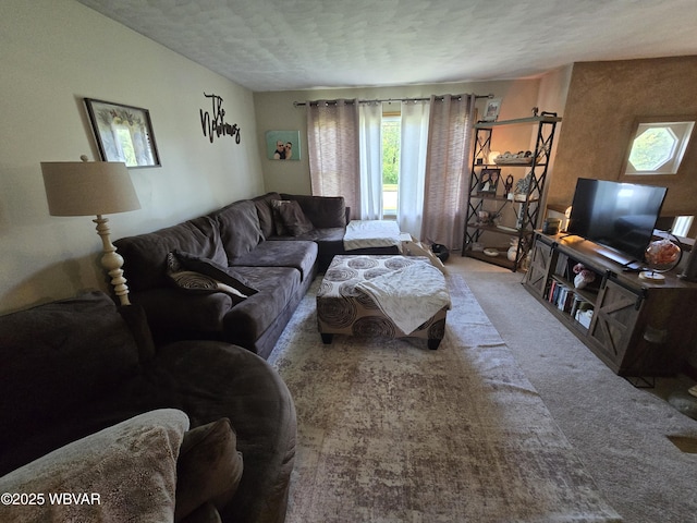 living room with a textured ceiling and carpet floors