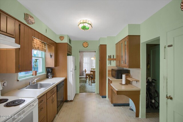 1310 Louisa St, Williamsport, PA 17701 - photo 13