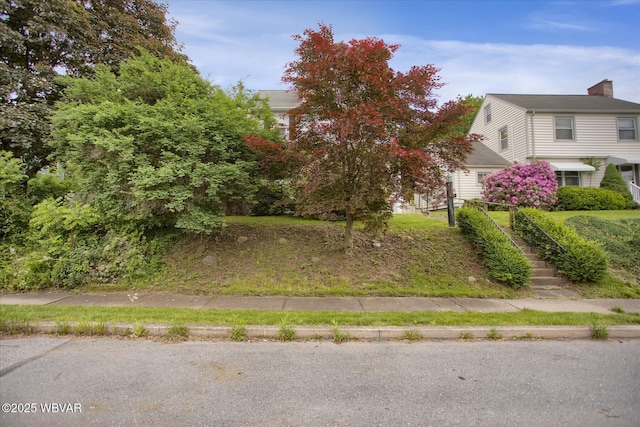 1310 Louisa St, Williamsport, PA 17701 - photo 2