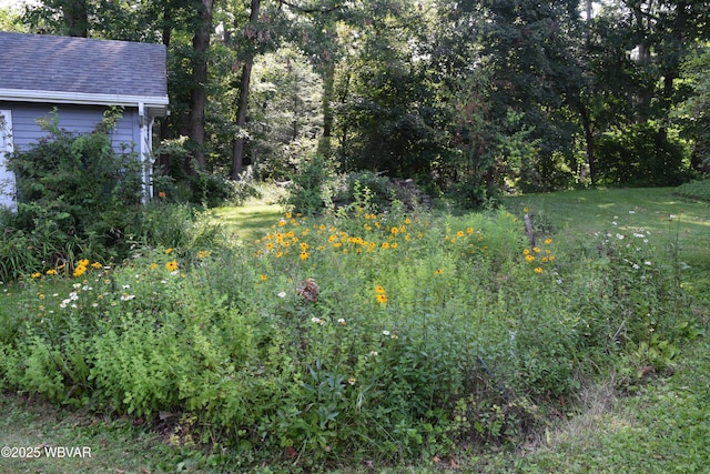21 Crestmont Dr, Lock Haven, PA 17745 - photo 23