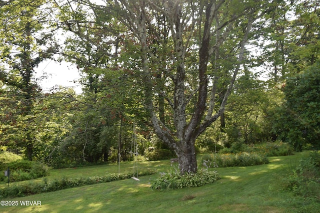 21 Crestmont Dr, Lock Haven, PA 17745 - photo 21