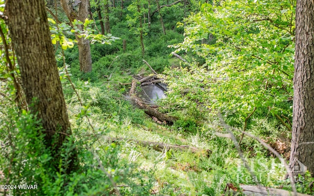 view of landscape