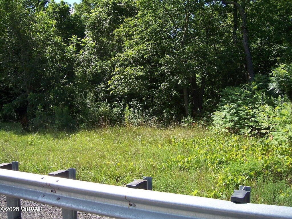 Long Run Rd, Mill Hall, PA 17751 - photo 1