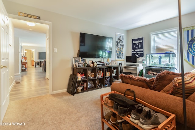 living room featuring light hardwood / wood-style flooring