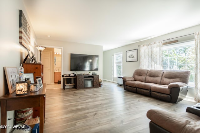 living room featuring hardwood / wood-style floors