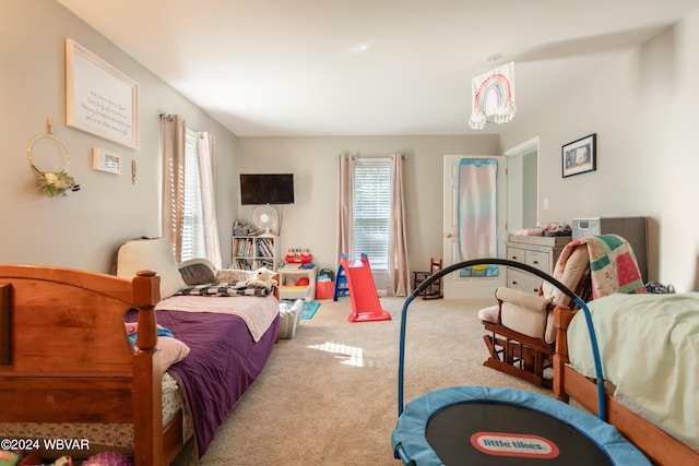 bedroom with carpet flooring