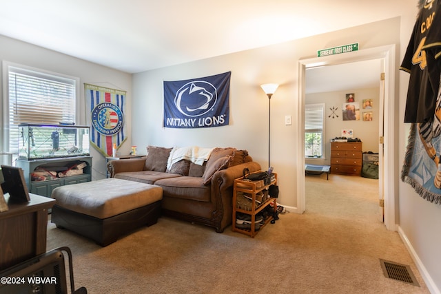 carpeted living room with plenty of natural light