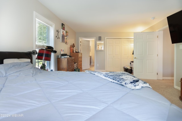 carpeted bedroom featuring a closet