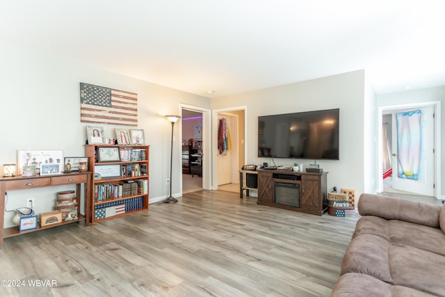 living room featuring light wood-type flooring