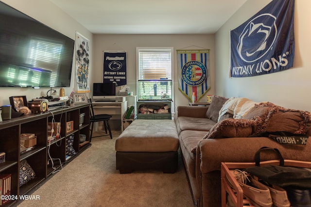 living room featuring carpet flooring