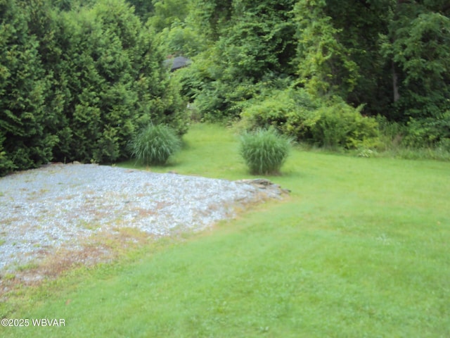 117 Oak Ln, Lock Haven, PA 17745 - view of green lawn
