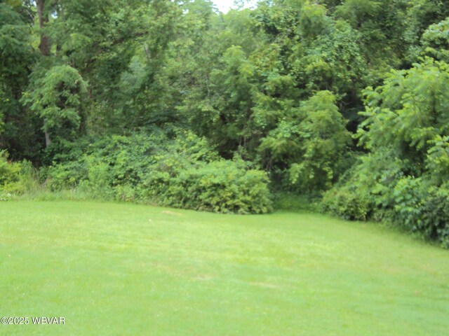 117 Oak Ln, Lock Haven, PA 17745 - view of green lawn featuring a forest view