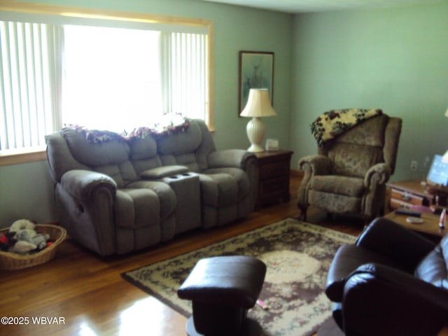117 Oak Ln, Lock Haven, PA 17745 - living room featuring wood finished floors