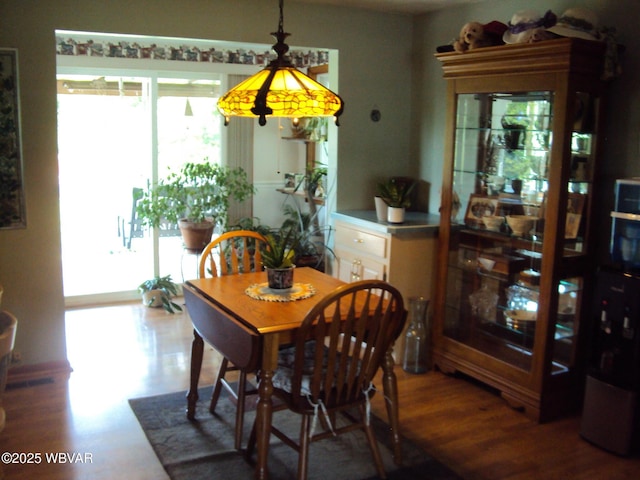 117 Oak Ln, Lock Haven, PA 17745 - dining area with wood finished floors