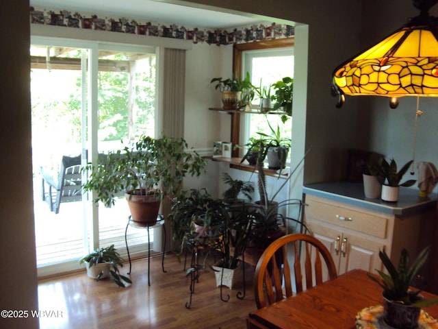 117 Oak Ln, Lock Haven, PA 17745 - dining room with wood finished floors