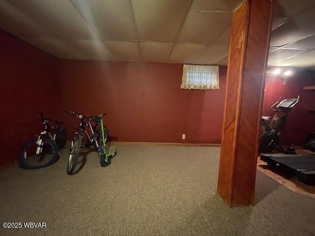 basement with carpet