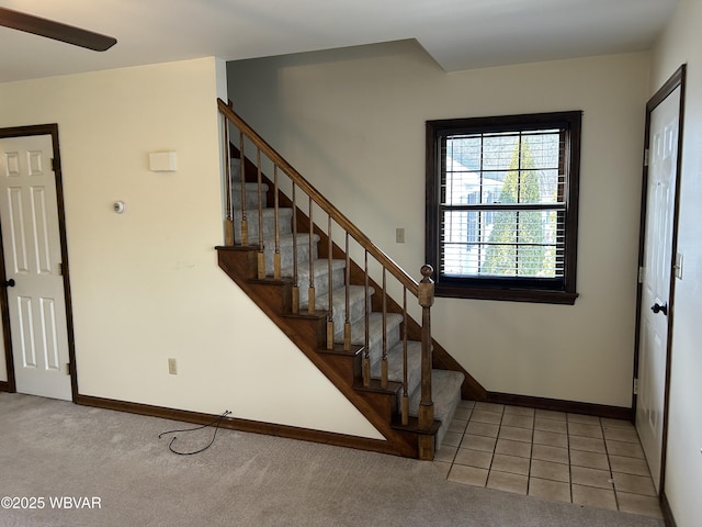 stairway featuring carpet floors