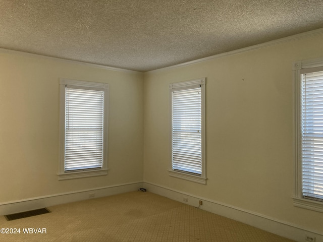 carpeted empty room featuring a textured ceiling, plenty of natural light, and crown molding