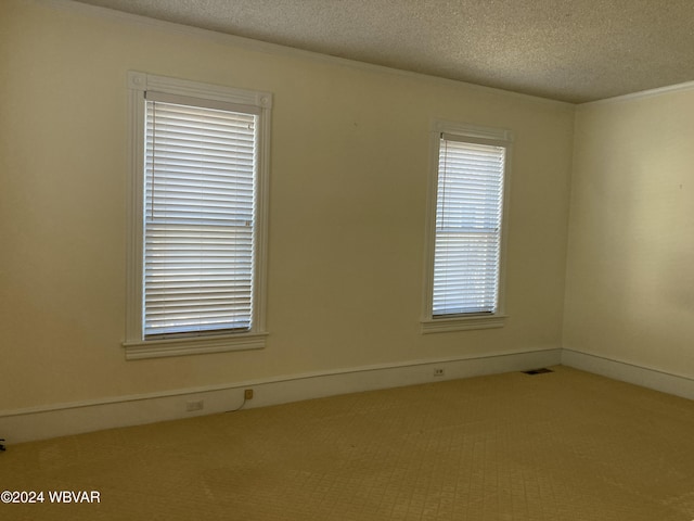 unfurnished room featuring light colored carpet, a textured ceiling, and a wealth of natural light