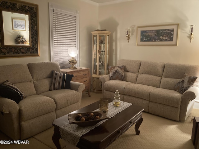 living room featuring light colored carpet