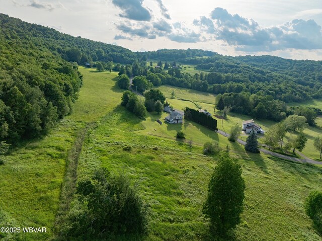 1164 Rosenberry Hill Rd, Dushore, PA 18614 - photo 10