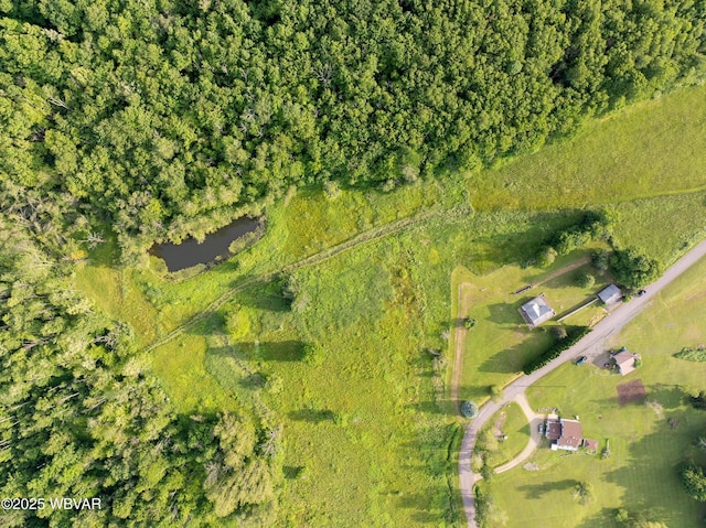 1164 Rosenberry Hill Rd, Dushore, PA 18614 - photo 8