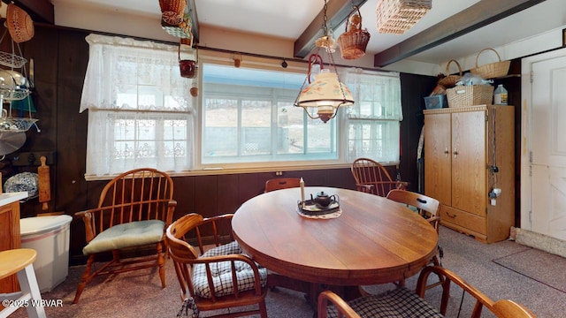 1164 Rosenberry Hill Rd, Dushore, PA 18614 - photo 34
