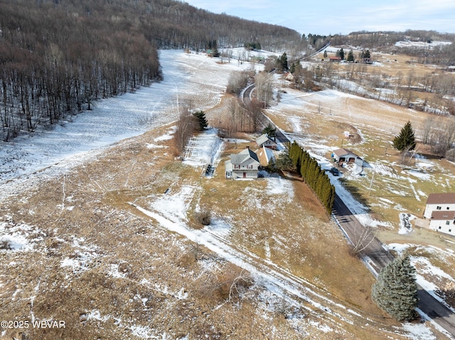 view of snowy aerial view