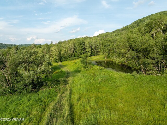 1164 Rosenberry Hill Rd, Dushore, PA 18614 - photo 5