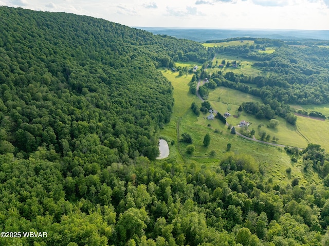 1164 Rosenberry Hill Rd, Dushore, PA 18614 - photo 11