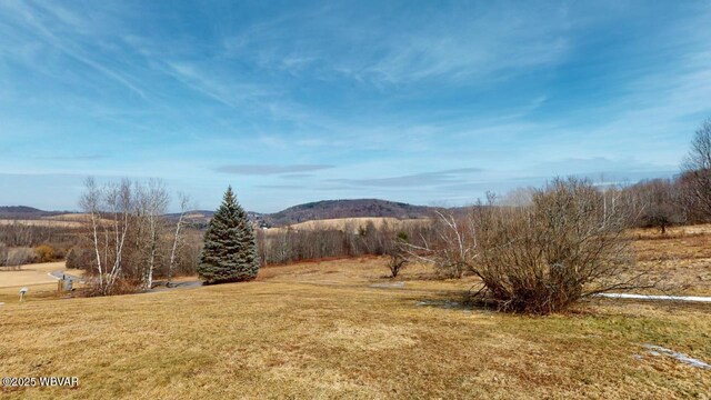 1164 Rosenberry Hill Rd, Dushore, PA 18614 - photo 20