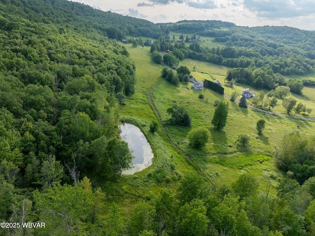 1164 Rosenberry Hill Rd, Dushore, PA 18614 - photo 12