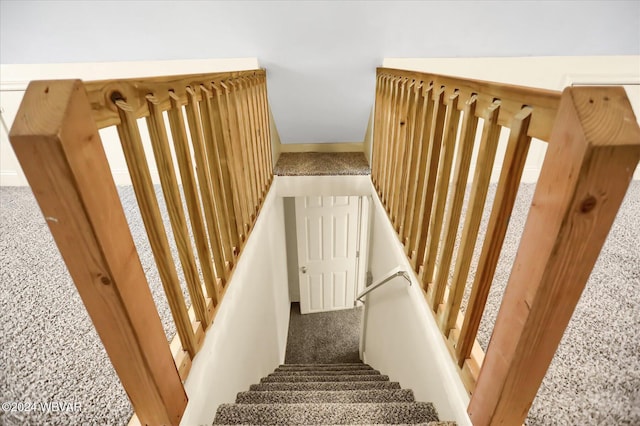 stairs featuring plenty of natural light and carpet floors