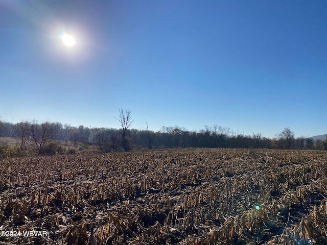 Pond Rd, Pennsdale, PA 17756