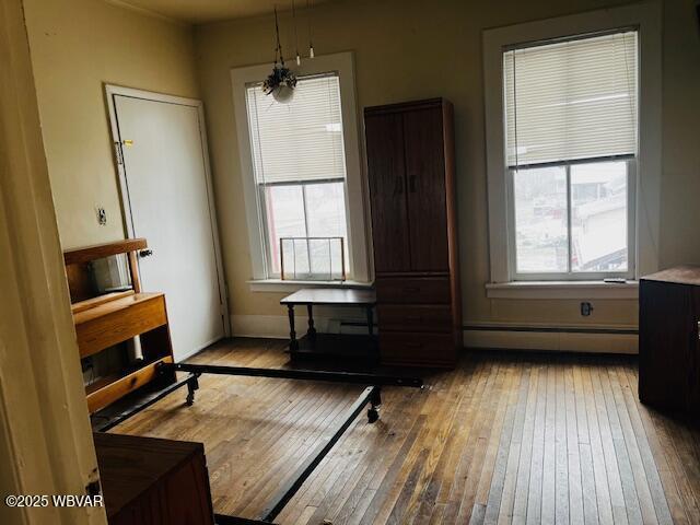 interior space with baseboard heating, a wealth of natural light, and wood-type flooring