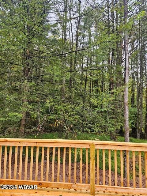 131 Spring House Rd, Muncy Valley, PA 17758 - exterior space