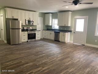 131 Spring House Rd, Muncy Valley, PA 17758 - kitchen featuring dark wood finished floors, plenty of natural light, appliances with stainless steel finishes, and ceiling fan