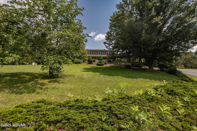 1094 Redwing Rd, Lock Haven, PA 17745 - photo 63