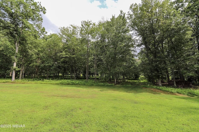350 Spring St, Duboistown, PA 17702 - photo 49