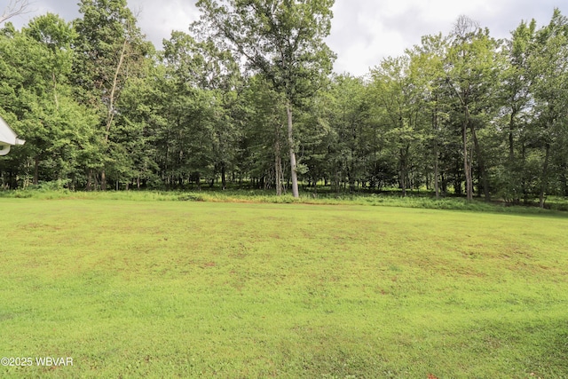 350 Spring St, Duboistown, PA 17702 - photo 48